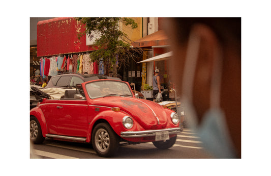 A BUG IN BROOKLYN (2020)